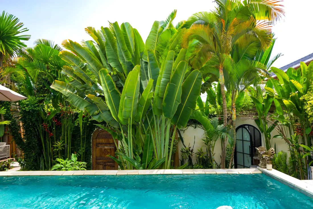 Private Garden Lodge in Ungasan